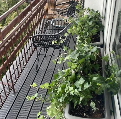 Apartament Boho